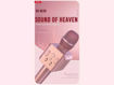 میکروفون بدون سیم کارائوکه ایکس او مدل MICROPHONE KARAOKE XO BE-30