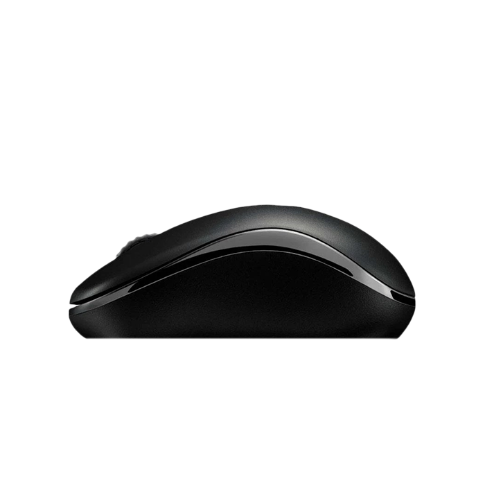 ماوس بدون سیم رپو مدل Wireless Mouse Rapoo M216